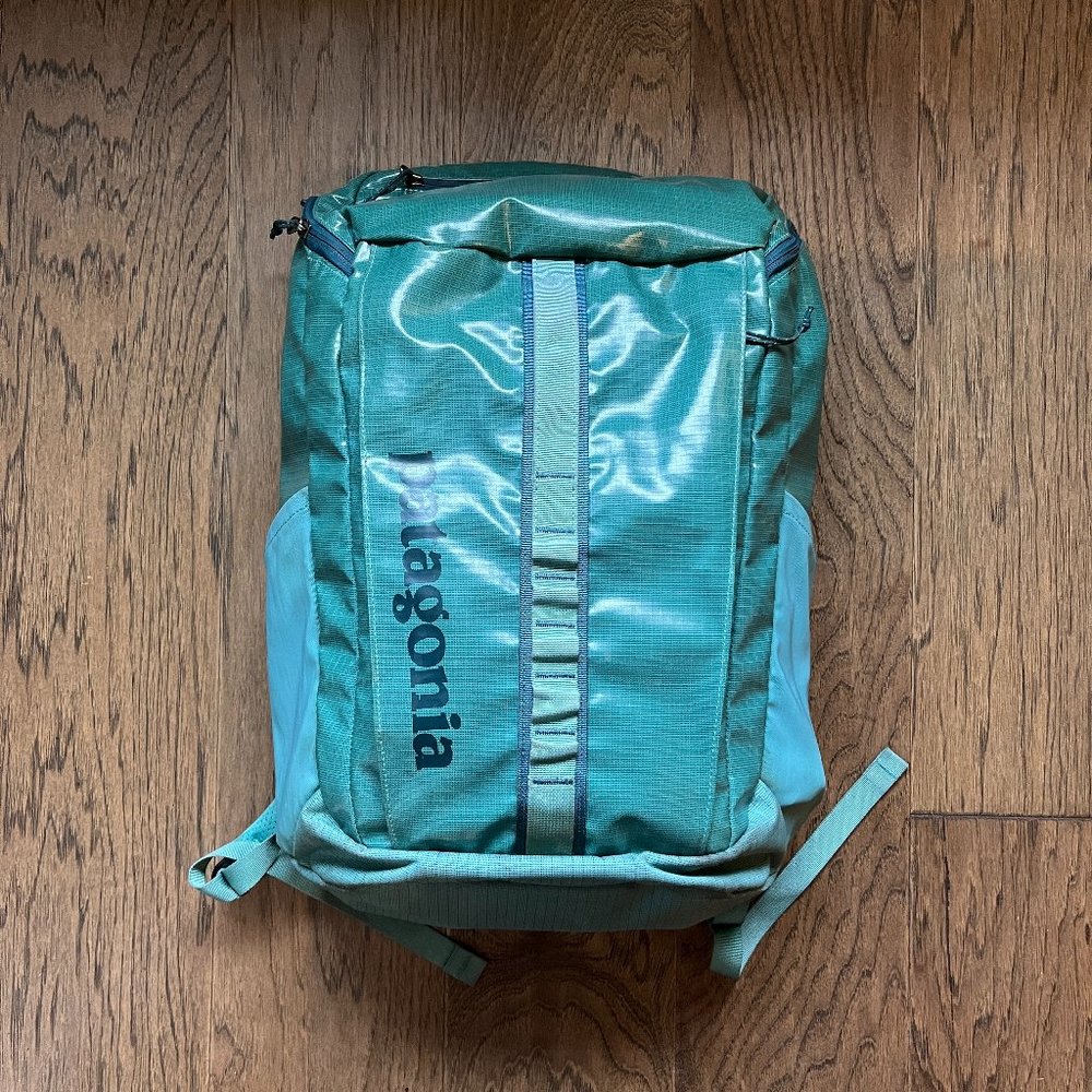 Patagonia Black Hole 25L Backpack